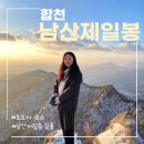 돼지골 | 대구근교 일출명소 남산제일봉 등산코스 (돼지골 탐방지원센터-남산제일봉)