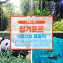 리버퀘스트 | 준의 내돈내산 싱가포르 가든스바이더베이(플라워돔+클라우드포레스트), 리버원더스(feat.리버퀘스트) 후기