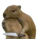 TEAM WILD WOLF | 앤팀 콘서트 중콘 낮공 후기｜잠실실내체육관 3층 시야