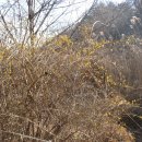 개구리당구장 이미지