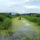 창녕우포생태관광체험마을회 이미지