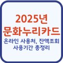 누리마트 | 문화누리카드 온라인 사용처, 잔액조회, 홈페이지 사용기간 총정리