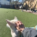 안녕 똑독아 이미지