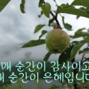 물안개 피는 마을,들꽃향기 | 경기도 포천 천주교 광암 이벽 유적지 성지순례 2026. 5. 23.