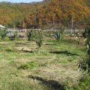 남산평기리 이미지