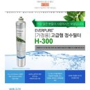 비자림H