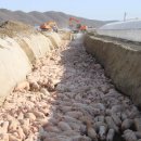 석칠마을 이미지