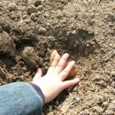 주희농장 이미지