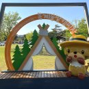 솔밭매점 | 충주 목계솔밭캠핑장 예약 명당, C사이트 후기