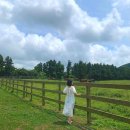 영아목장 이미지