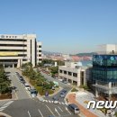 대교초등학교 이미지