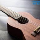 기타 집중레슨 이미지