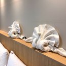 별담패밀리펜션 | 제주도 리조트 호텔 서귀포 가족 독채 숙소 메종산방