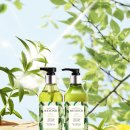 버베나 하우스 이미지