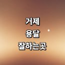 근처 용달이사 화물용달 추천 전문업체 잘하는곳 후기 견적 소형 렌트 퀵서비스 가격 침대 운송 다마스...