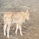 다산목장 이미지