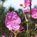 기룡산입구 이미지