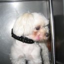 연서 동물병원 이미지