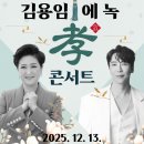 트로트 효 콘서트 이미지