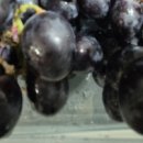 운산농협 하나로마트 이미지