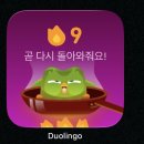 새신애드 | 정면돌파하러 간다!