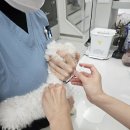 천호동물병원 이미지