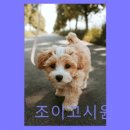 조이고시원 - 관악구 신림로64길 52 | 조이고시원