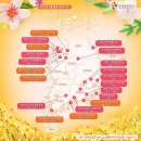 2015년 4월 전국 봄꽃 축제 일정 이미지