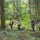 달마고도 이미지