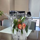 나성동갈매로 이미지