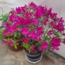 금탑연제공인중개사사무소 이미지