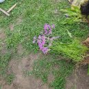 아차골 민박 이미지