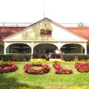 일동하와이 이미지