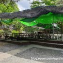 고무서리산장 이미지