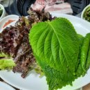 송원한우식육식당 이미지