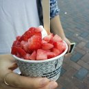 모가쭈꾸미 네이버블로그