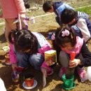 구성초교병설유치원 이미지