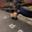 동덕세탁소 | 총방문자 10만명 기념 일상털기❤️