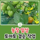 태산농장 2 이미지