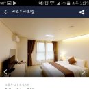 (주)세일투나잇