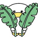 옹스냅 이미지