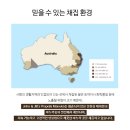 대자연유치원 | [공지] 꿀이 아니라 약입니다! 호주 존앤질스 프로폴리스 마누카꿀 3차 11.5일 오픈