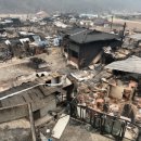 산불에 전소된 집에 수상한 전입신고 급증…‘30만원’ 재난지원금 노렸나 이미지