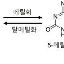 후성유전학 이미지