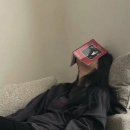 화이트펜슬제주