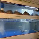 창원포차 이미지