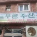 늘푸른유통 이미지