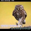 타마이