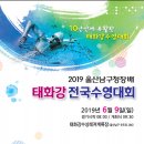 2019 울산남구청장배 태화강 전국 수영대회(수질검사 파일 추가-1급수) 이미지