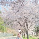 발개로 이미지